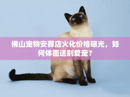 佛山宠物安葬店火化价格曝光，如何体面送别爱宠？