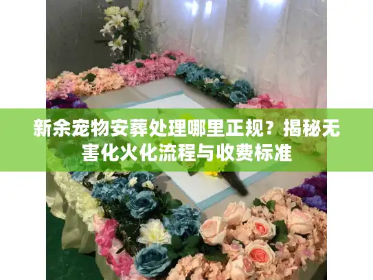 新余宠物安葬处理哪里正规？揭秘无害化火化流程与收费标准