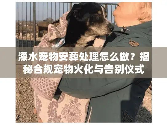 溧水宠物安葬处理怎么做？揭秘合规宠物火化与告别仪式