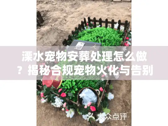 溧水宠物安葬处理怎么做？揭秘合规宠物火化与告别仪式