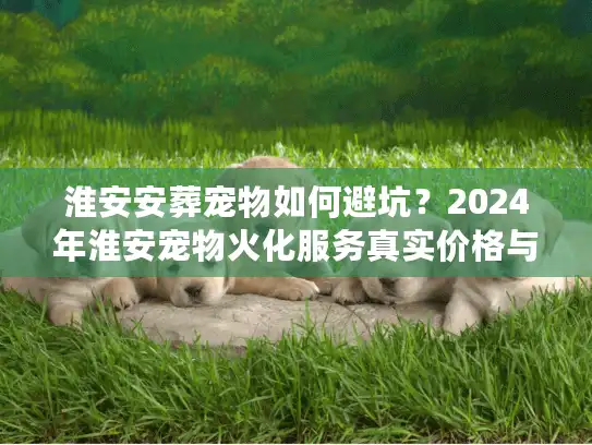 淮安安葬宠物如何避坑？2024年淮安宠物火化服务真实价格与流程揭秘