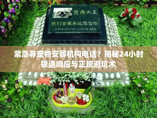 紧急寻宠物安葬机构电话？揭秘24小时极速响应与正规避坑术
