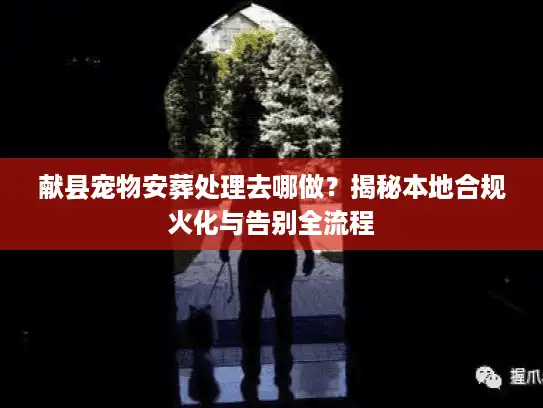 献县宠物安葬处理去哪做？揭秘本地合规火化与告别全流程