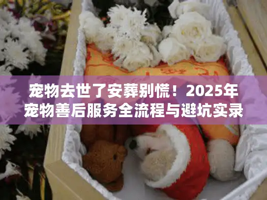 宠物去世了安葬别慌！2025年宠物善后服务全流程与避坑实录