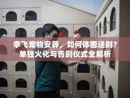李飞宠物安葬，如何体面送别？单独火化与告别仪式全解析