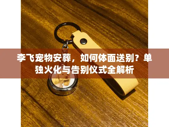李飞宠物安葬，如何体面送别？单独火化与告别仪式全解析