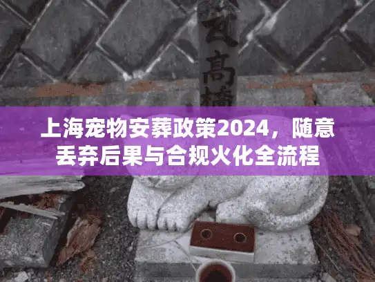 上海宠物安葬政策2024，随意丢弃后果与合规火化全流程