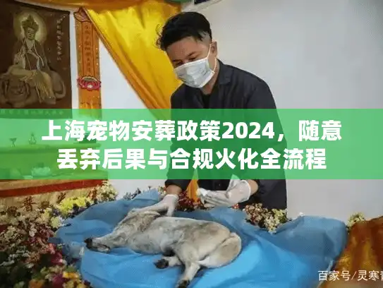 上海宠物安葬政策2024，随意丢弃后果与合规火化全流程