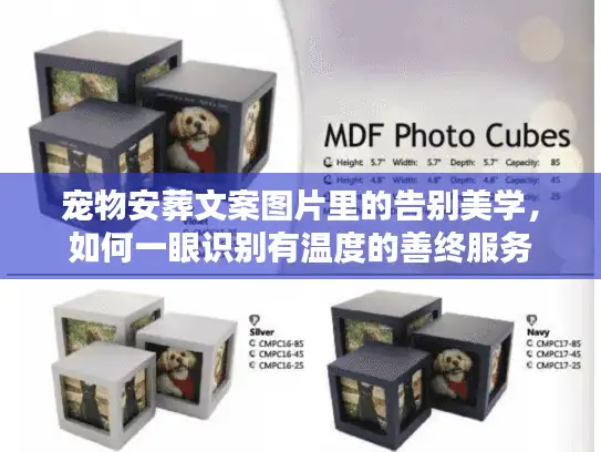宠物安葬文案图片里的告别美学，如何一眼识别有温度的善终服务