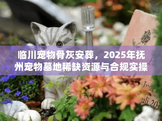 临川宠物骨灰安葬，2025年抚州宠物墓地稀缺资源与合规实操