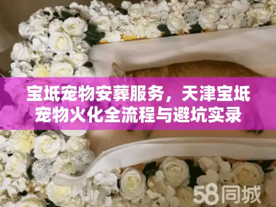 宝坻宠物安葬服务，天津宝坻宠物火化全流程与避坑实录