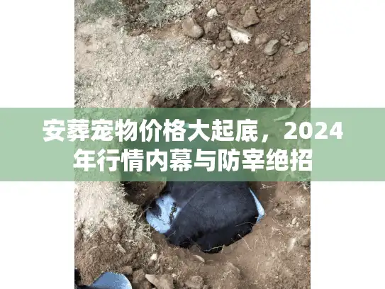 安葬宠物价格大起底，2024年行情内幕与防宰绝招