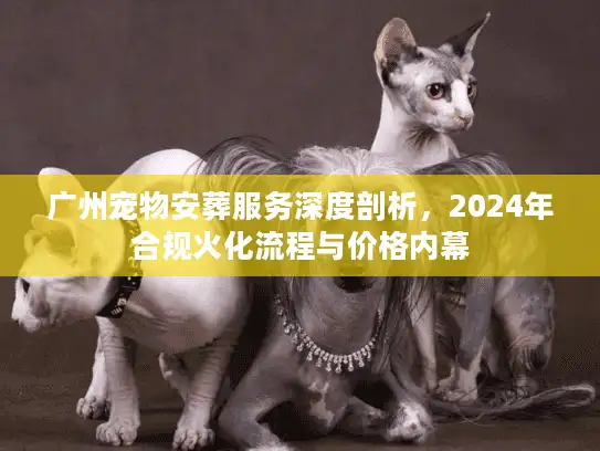 广州宠物安葬服务深度剖析，2024年合规火化流程与价格内幕