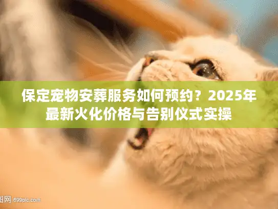 保定宠物安葬服务如何预约？2025年最新火化价格与告别仪式实操