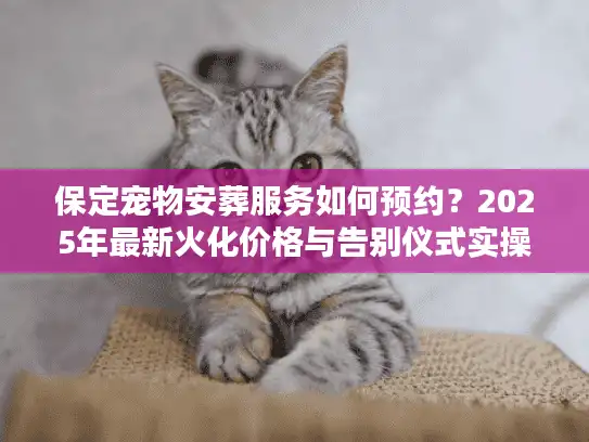 保定宠物安葬服务如何预约？2025年最新火化价格与告别仪式实操