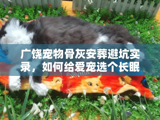 广饶宠物骨灰安葬避坑实录，如何给爱宠选个长眠风水宝地？