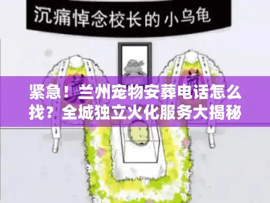 紧急！兰州宠物安葬电话怎么找？全城独立火化服务大揭秘