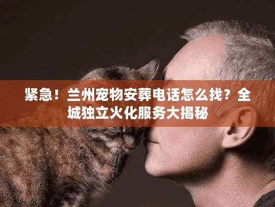紧急！兰州宠物安葬电话怎么找？全城独立火化服务大揭秘