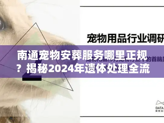 南通宠物安葬服务哪里正规？揭秘2024年遗体处理全流程
