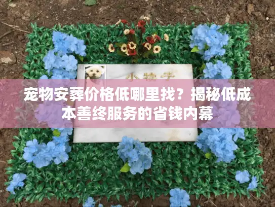宠物安葬价格低哪里找？揭秘低成本善终服务的省钱内幕