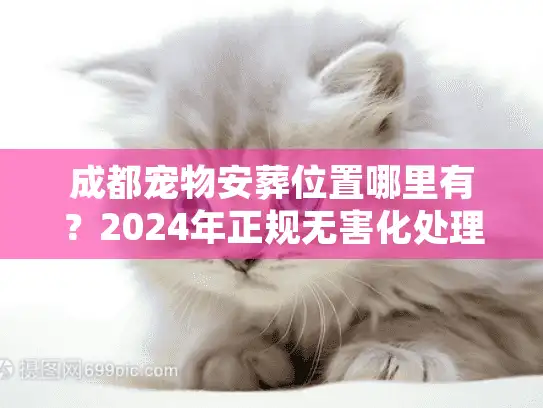 成都宠物安葬位置哪里有？2024年正规无害化处理基地实地测评