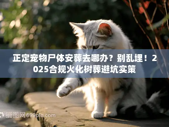 正定宠物尸体安葬去哪办？别乱埋！2025合规火化树葬避坑实策