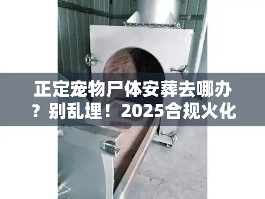 正定宠物尸体安葬去哪办？别乱埋！2025合规火化树葬避坑实策