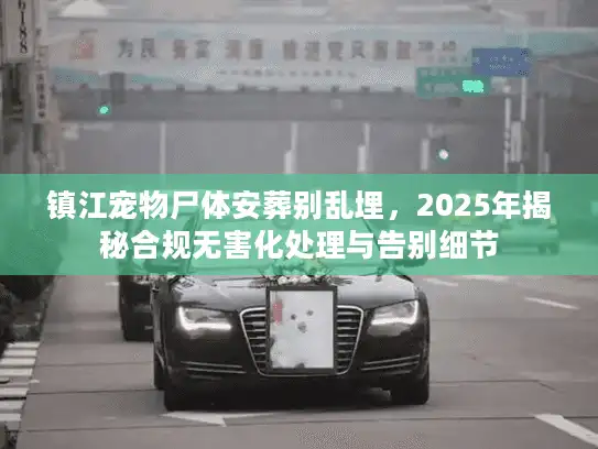 镇江宠物尸体安葬别乱埋，2025年揭秘合规无害化处理与告别细节