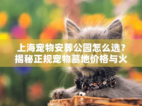 上海宠物安葬公园怎么选？揭秘正规宠物墓地价格与火化流程