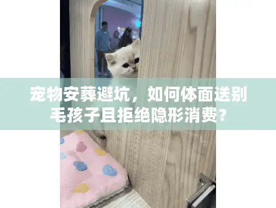 宠物安葬避坑，如何体面送别毛孩子且拒绝隐形消费？