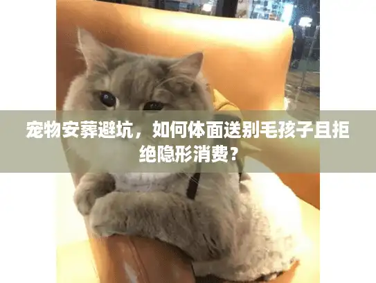 宠物安葬避坑，如何体面送别毛孩子且拒绝隐形消费？