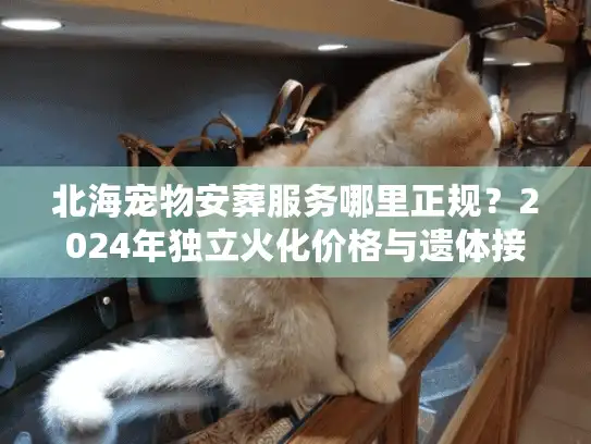 北海宠物安葬服务哪里正规？2024年独立火化价格与遗体接送流程