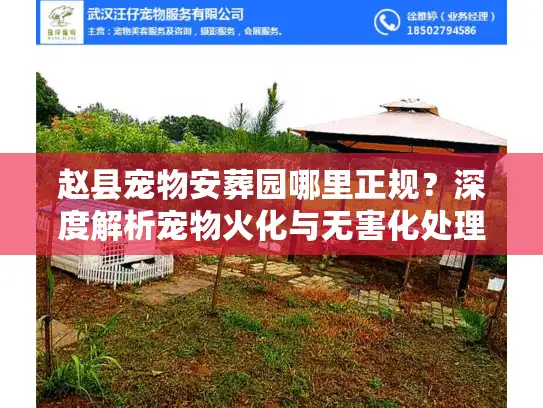 赵县宠物安葬园哪里正规？深度解析宠物火化与无害化处理门道