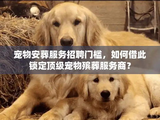 宠物安葬服务招聘门槛，如何借此锁定顶级宠物殡葬服务商？
