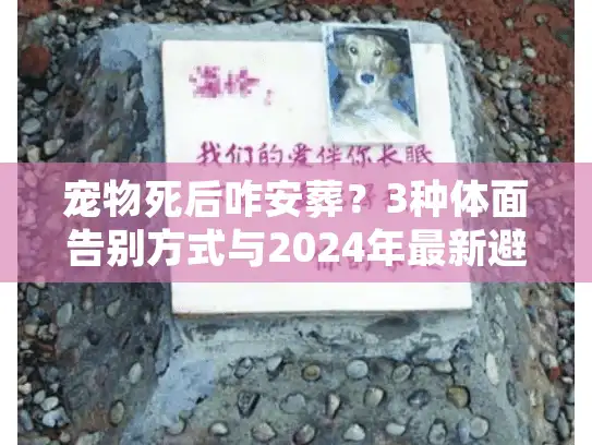 宠物死后咋安葬？3种体面告别方式与2024年最新避坑建议