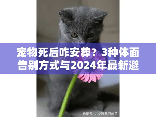 宠物死后咋安葬？3种体面告别方式与2024年最新避坑建议
