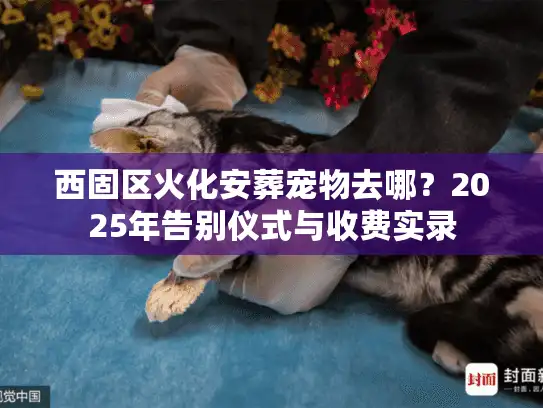 西固区火化安葬宠物去哪？2025年告别仪式与收费实录