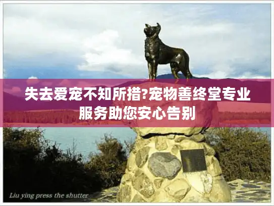 失去爱宠不知所措?宠物善终堂专业服务助您安心告别