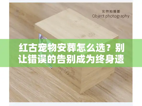 红古宠物安葬怎么选？别让错误的告别成为终身遗憾，揭秘本地服务真相