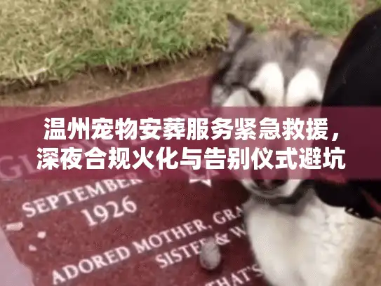 温州宠物安葬服务紧急救援，深夜合规火化与告别仪式避坑实录