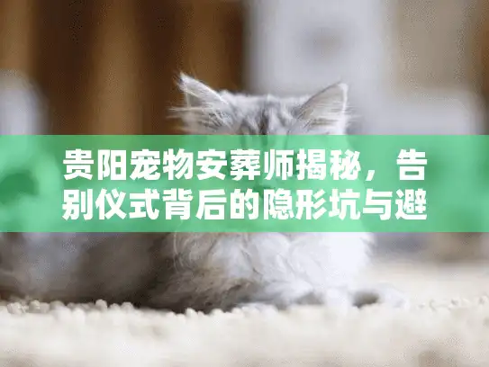 贵阳宠物安葬师揭秘，告别仪式背后的隐形坑与避雷策略
