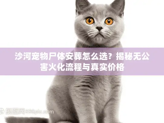 沙河宠物尸体安葬怎么选？揭秘无公害火化流程与真实价格