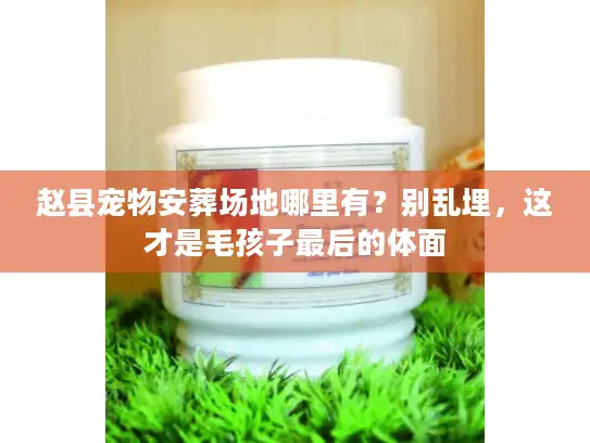 赵县宠物安葬场地哪里有？别乱埋，这才是毛孩子最后的体面