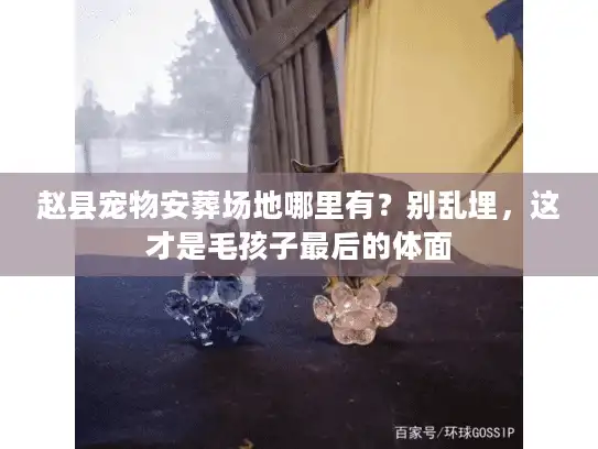 赵县宠物安葬场地哪里有？别乱埋，这才是毛孩子最后的体面