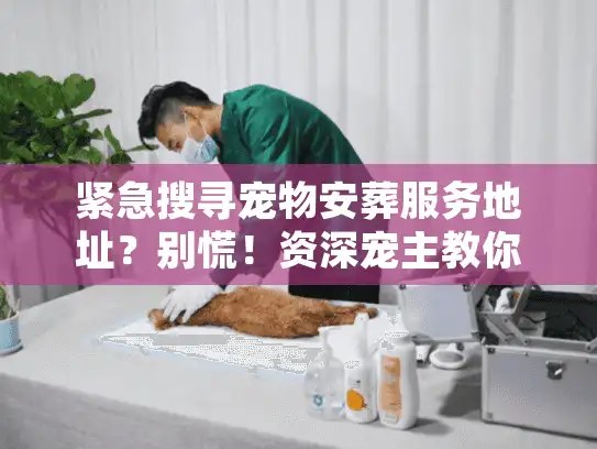 紧急搜寻宠物安葬服务地址？别慌！资深宠主教你三招锁定正规殡仪馆