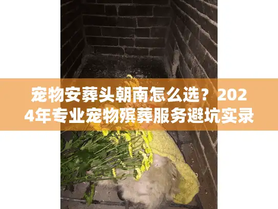 宠物安葬头朝南怎么选？2024年专业宠物殡葬服务避坑实录