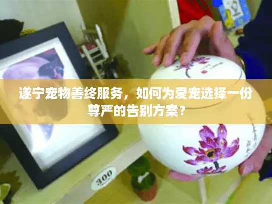 遂宁宠物善终服务，如何为爱宠选择一份尊严的告别方案？