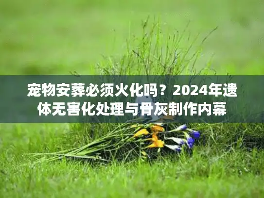 宠物安葬必须火化吗？2024年遗体无害化处理与骨灰制作内幕