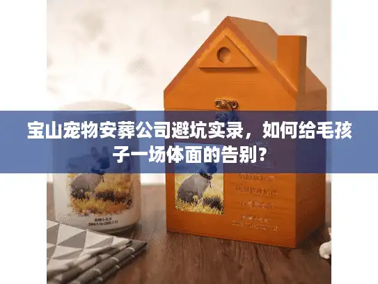 宝山宠物安葬公司避坑实录，如何给毛孩子一场体面的告别？