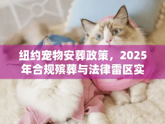 纽约宠物安葬政策，2025年合规殡葬与法律雷区实操